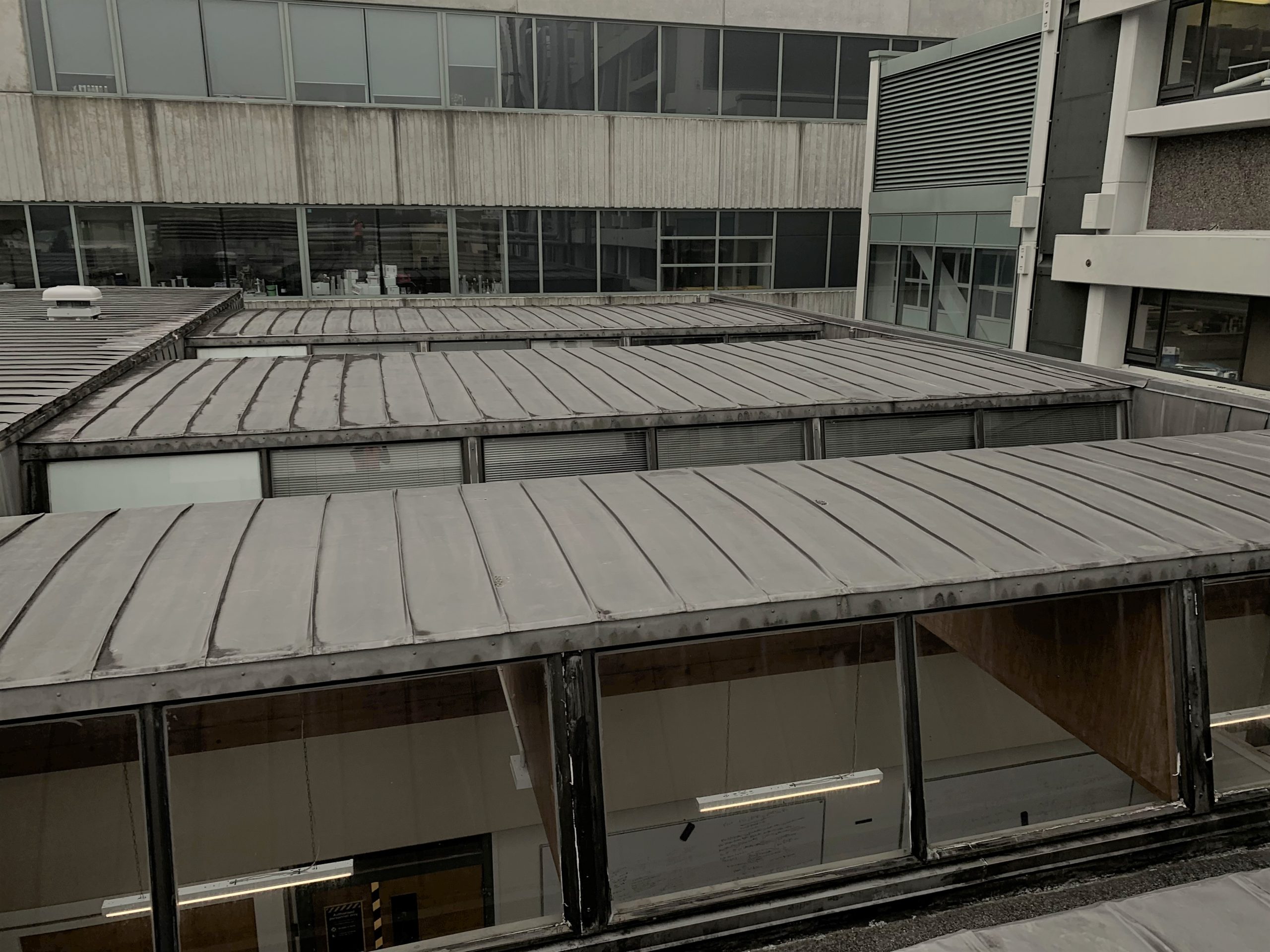 Cotton and Laby Building 3